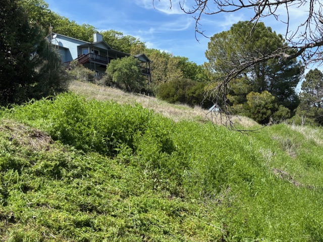 Property Assessment & Documentation